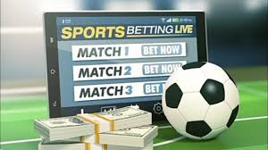 Your Ultimate Guide to Hola Bet What You Need to Know