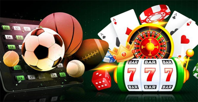Ultimate Guide to Live Scores with Betting Options