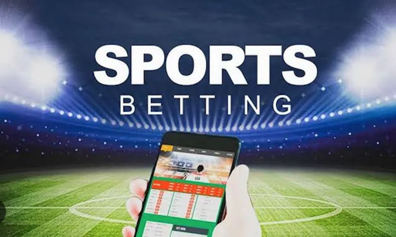 Betwinner  La Référence des Paris Sportifs en Ligne -409025749